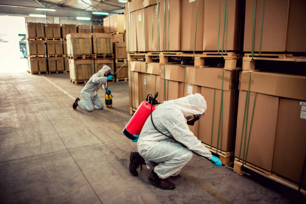 Best Wasp Removal Services  in Oelwein, IA