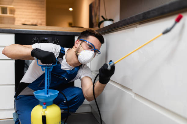 Best Commercial Pest Control Services  in Oelwein, IA