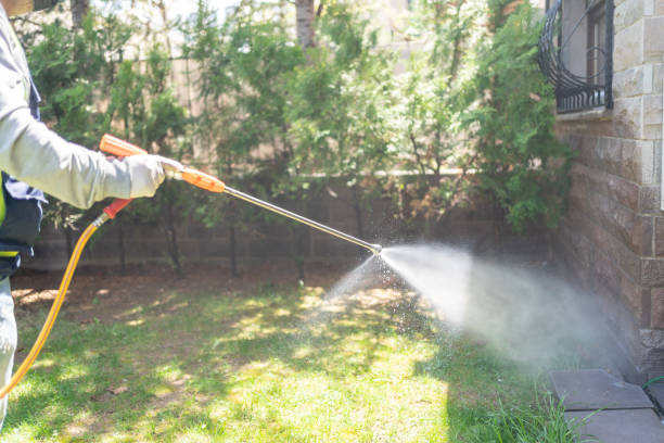 Best Pest Inspection Near Me  in Oelwein, IA