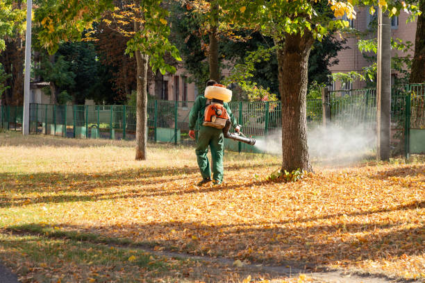 Best Affordable Pest Control Services  in Oelwein, IA